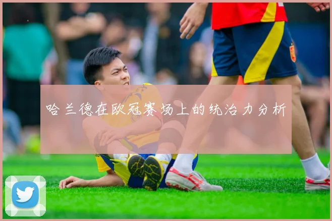 哈兰德在欧冠赛场上的统治力分析
