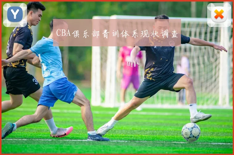 CBA俱乐部青训体系现状调查